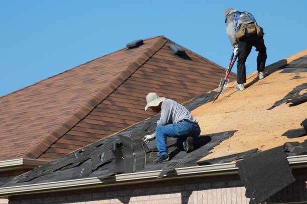 Best Roof Moss and Algae Removal  in Cairo, GA