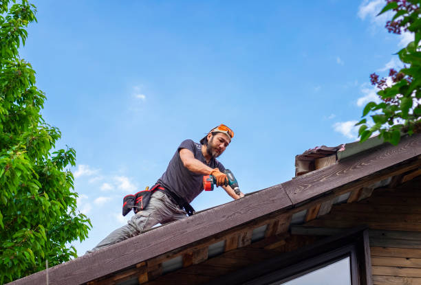 Best Asphalt Shingles Roofing  in Cairo, GA